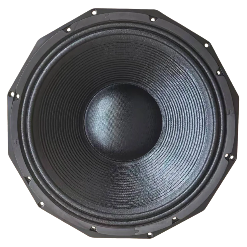 Wavemark WM1850/8 18 inch sub bass driver, front view
